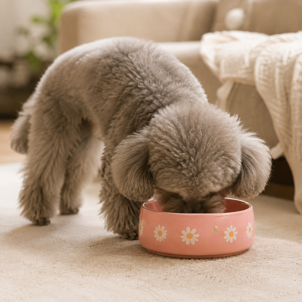 So cute and easy to clean!
